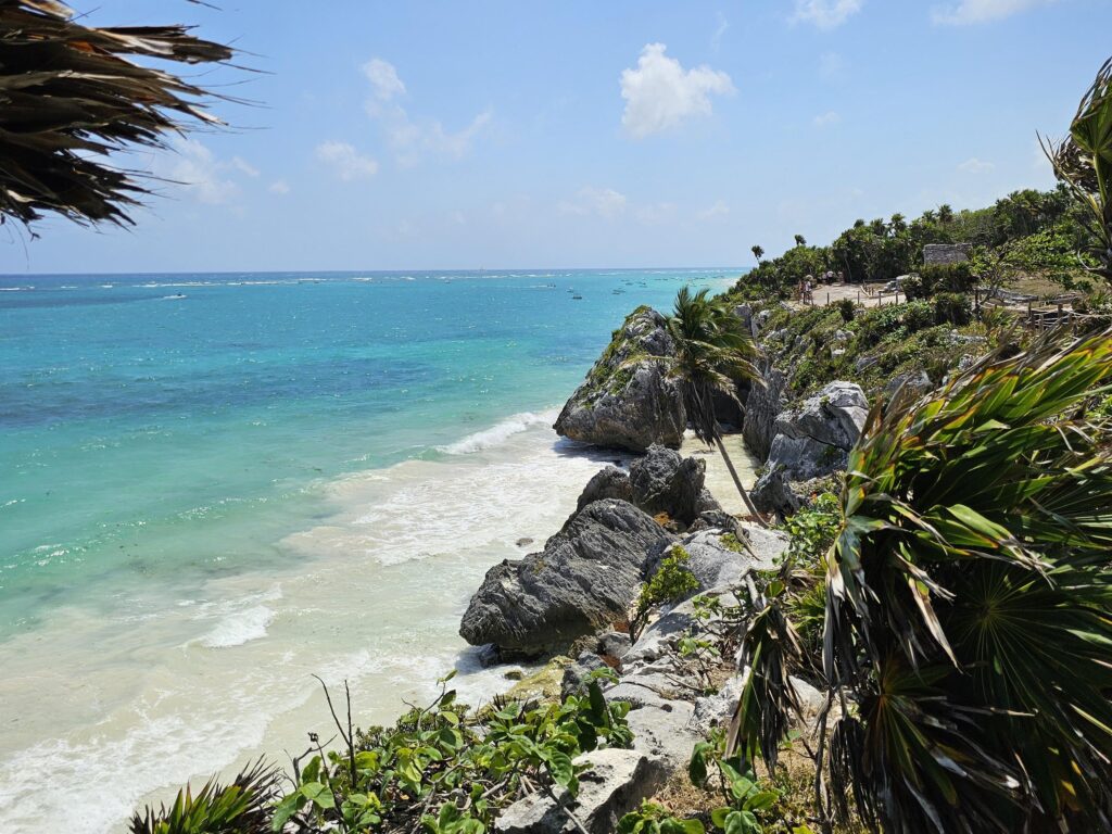 signal-2024-04-15-164357