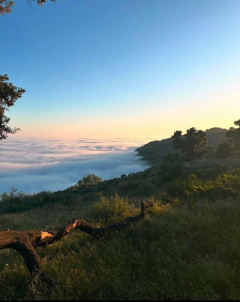 signal-2026-02-20-081716_002